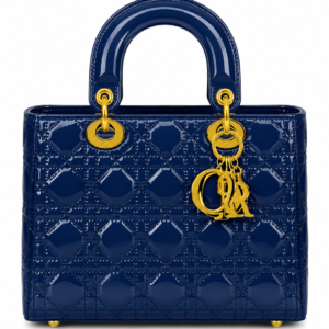 Glossy Quilted Lady Bag