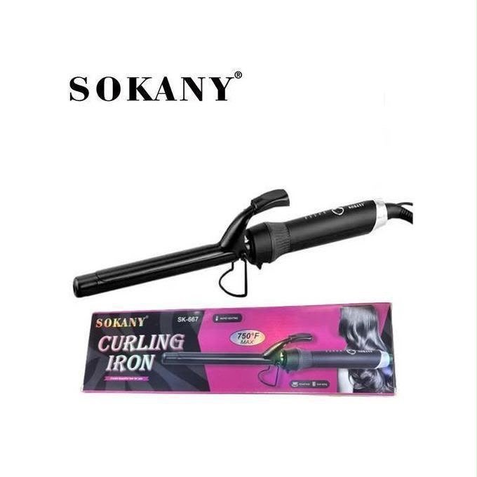 Rozia Professional Hair Curler HR772